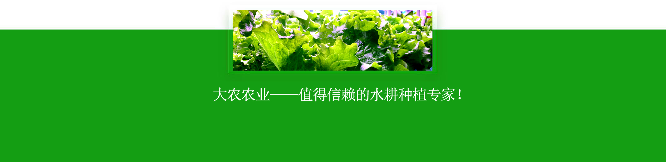 &#112;&#103;&#30005;&#23376;&#27169;&#25311;&#22120;&#40;&#35797;&#29609;&#28216;&#25103;&#41;&#23448;&#26041;&#32593;&#31449;