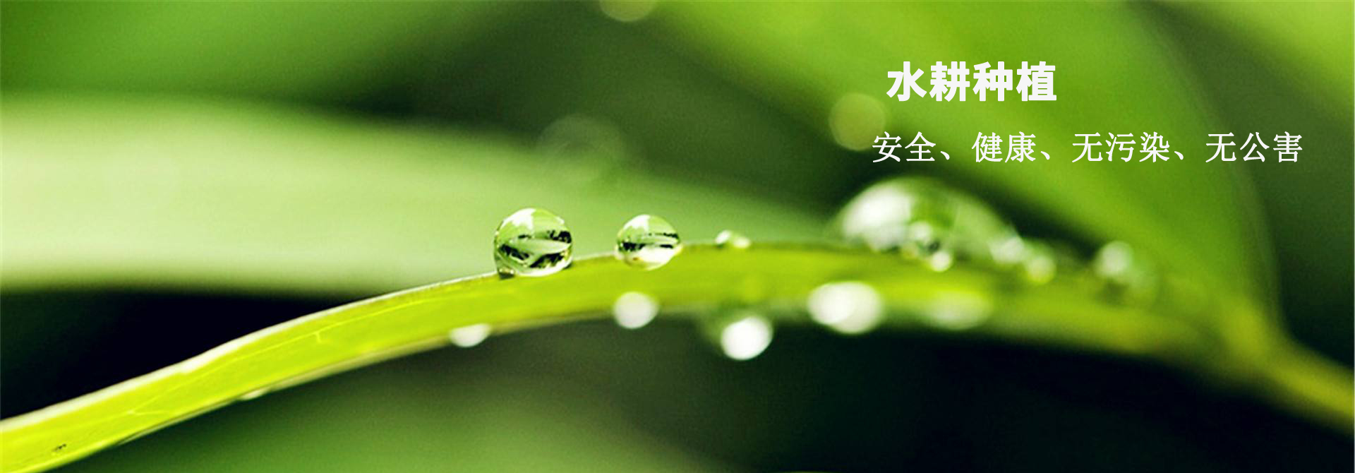 &#112;&#103;&#30005;&#23376;&#27169;&#25311;&#22120;&#40;&#35797;&#29609;&#28216;&#25103;&#41;&#23448;&#26041;&#32593;&#31449;
